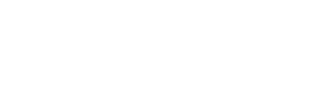 Ponte Strategy